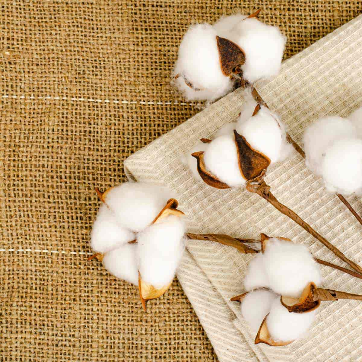 Die Bezüge der CALM ELEPHANT Akupressurmatten und Akupressurkissen bestehen aus Leinen und Baumwolle